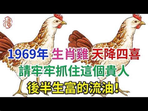 雞五行屬什麼|生肖雞的五行？不同屬性的屬雞人的性格有什麼不同？